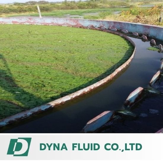 ระบบปล่อยน้ำทิ้งเท่ากับศูนย์ (Zero Discharge) - รับติดตั้งระบบบำบัดน้ำเสีย - ไดน่า ฟลูอิด