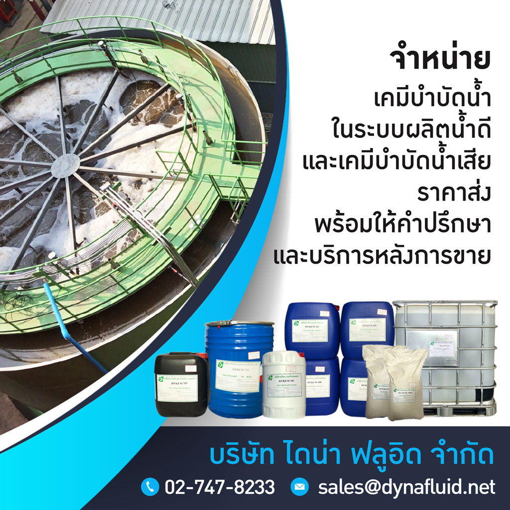 My Image 26